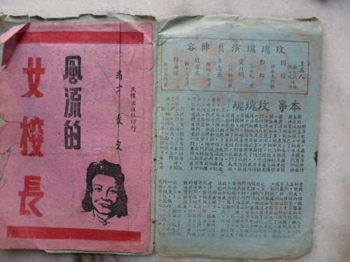 办假的威尔士驾驶证